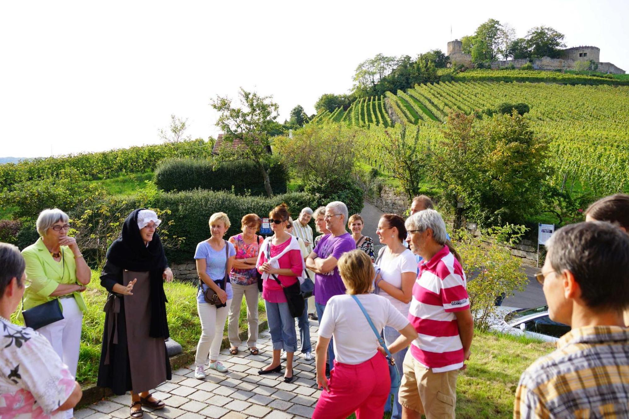 Gaestehaus Zum Wolffenturm Lehrensteinsfeld Exteriör bild