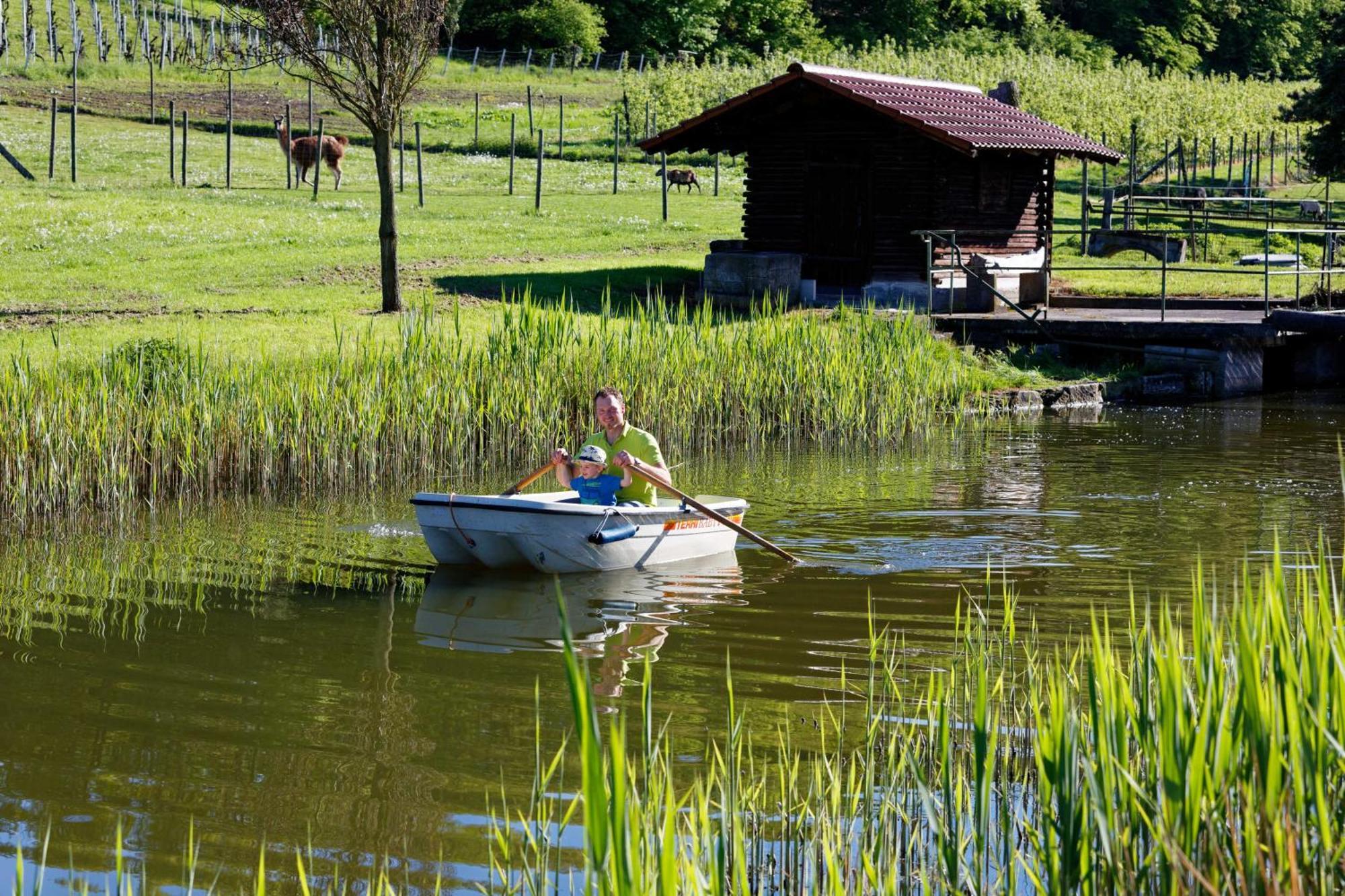 Gaestehaus Zum Wolffenturm Lehrensteinsfeld Exteriör bild