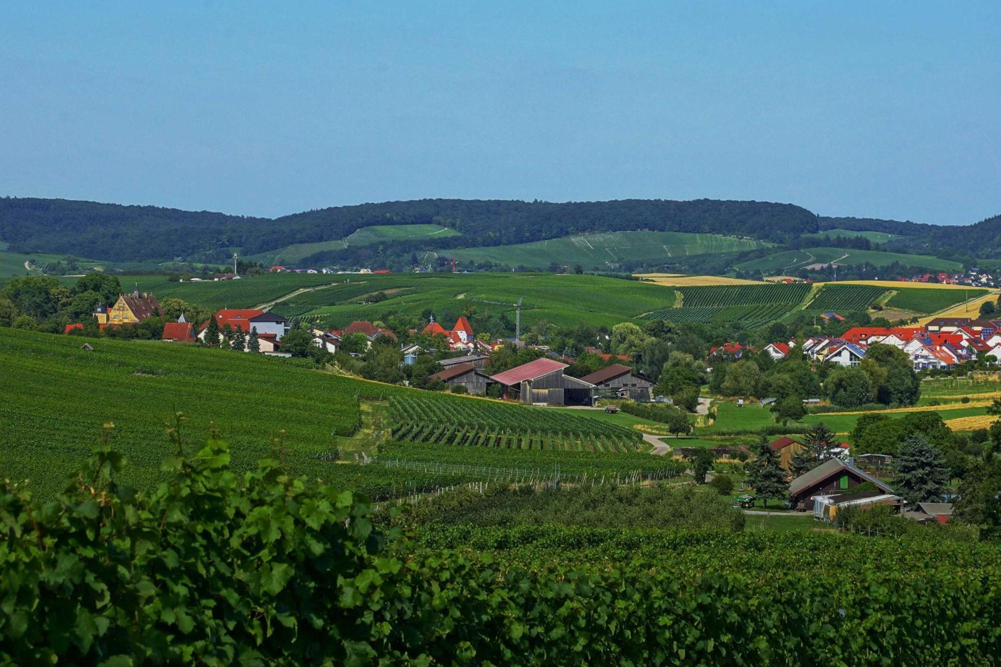 Gaestehaus Zum Wolffenturm Lehrensteinsfeld Exteriör bild