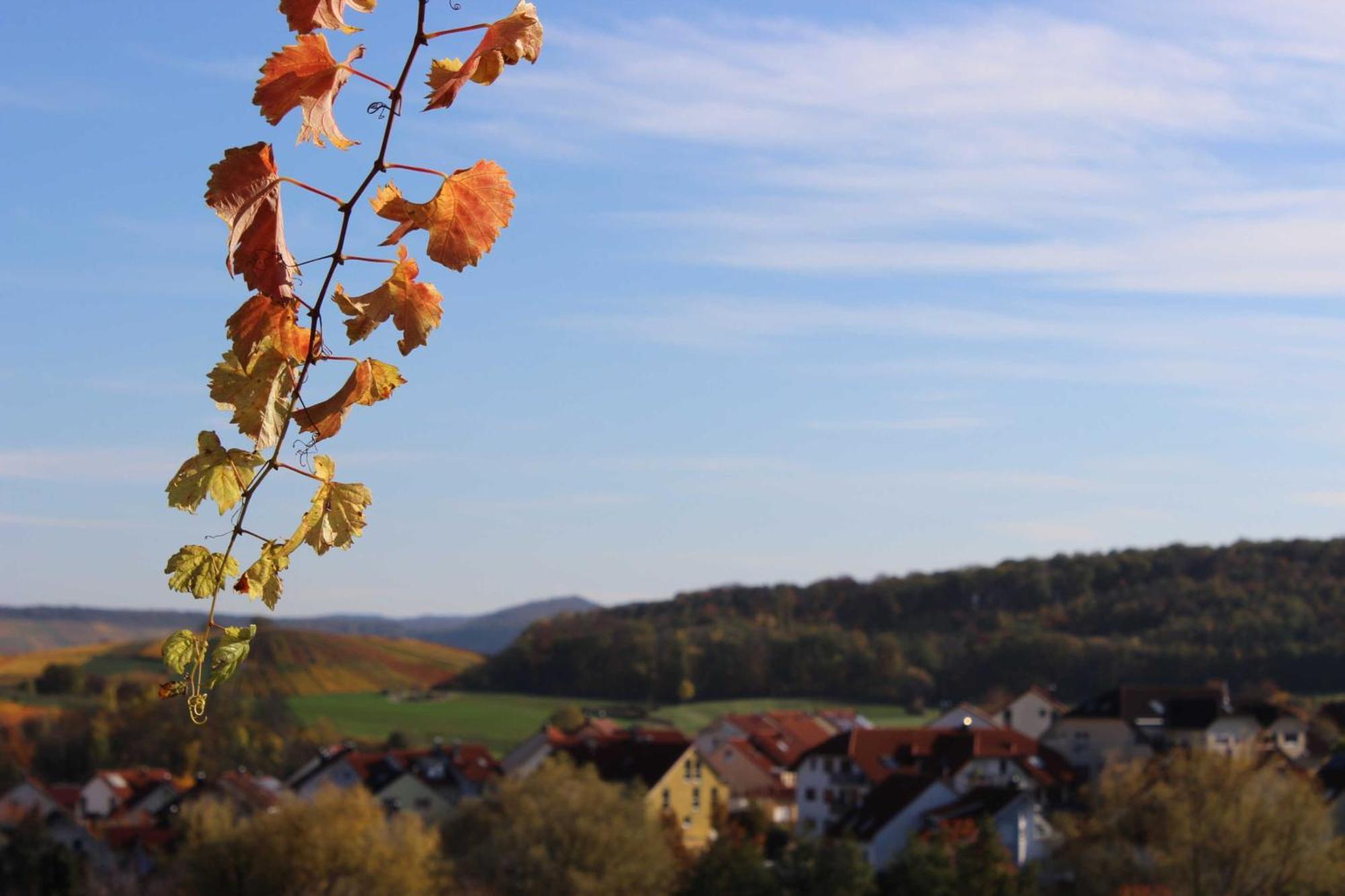 Gaestehaus Zum Wolffenturm Lehrensteinsfeld Exteriör bild